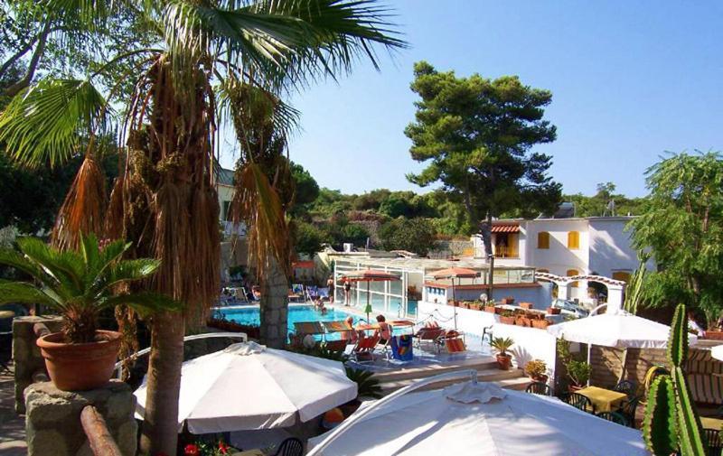 Albergo Villa Hibiscus Forio  Exterior photo