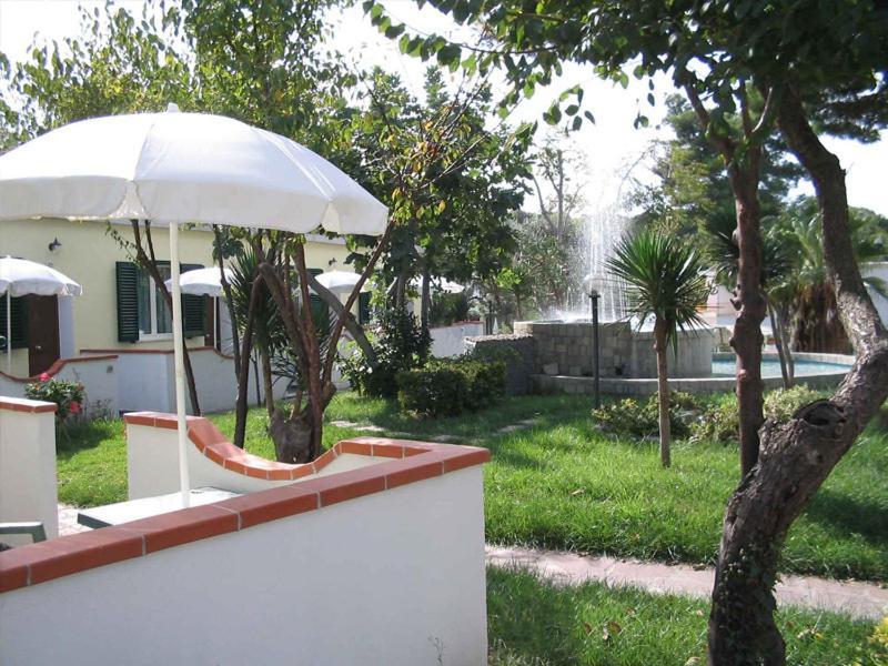 Albergo Villa Hibiscus Forio  Exterior photo